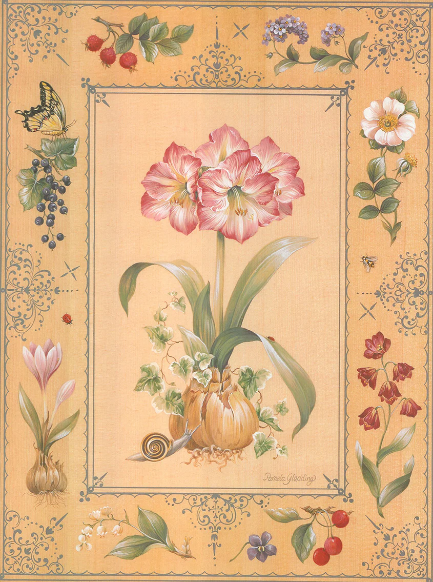 Amaryllis by Pamela Gladding - 12 X 16 Inches (Art Print)