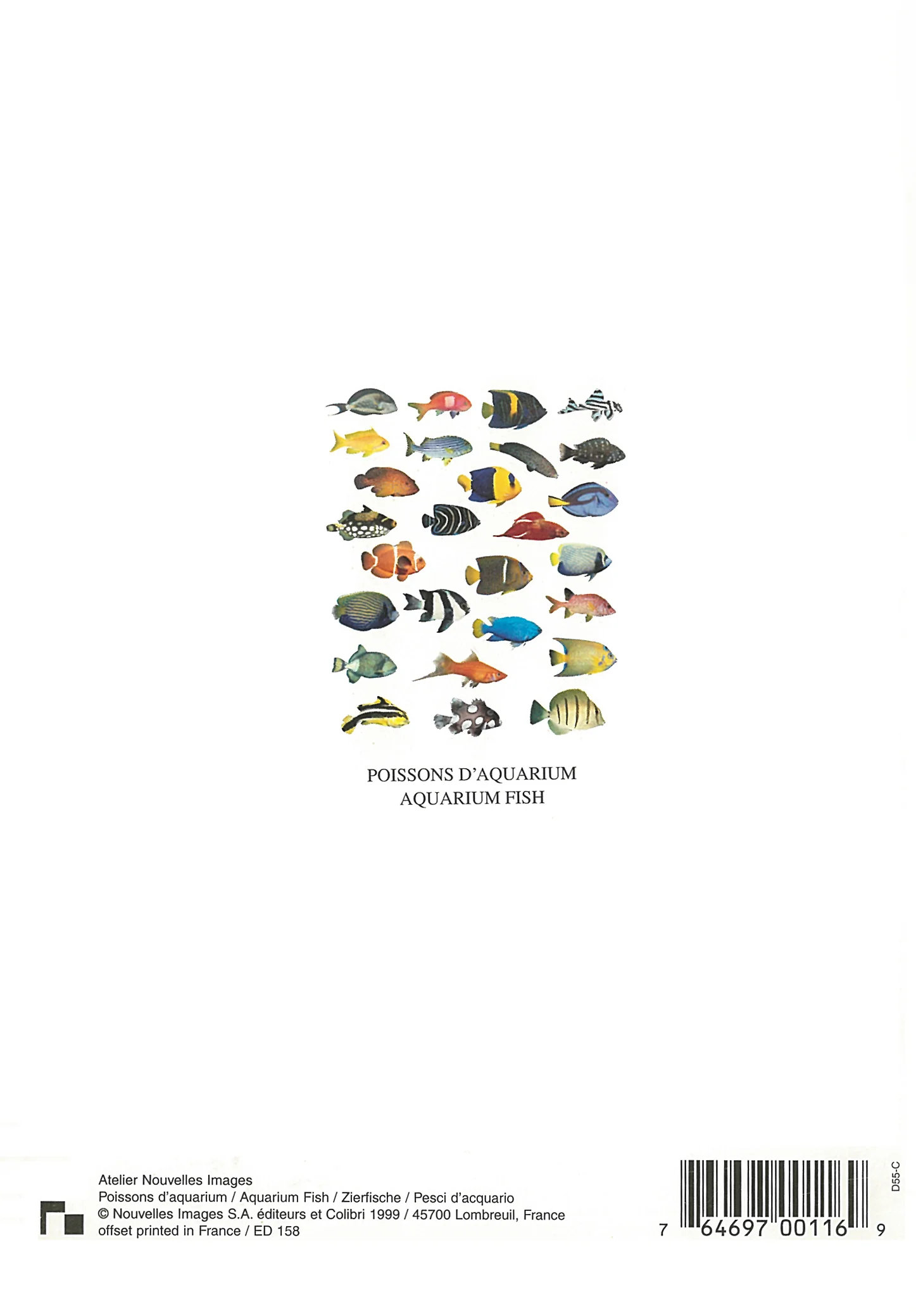 Aquarium Fish by Atelier Nouvelles Images - 5 X 7 Inches (Note Card) - Image 2