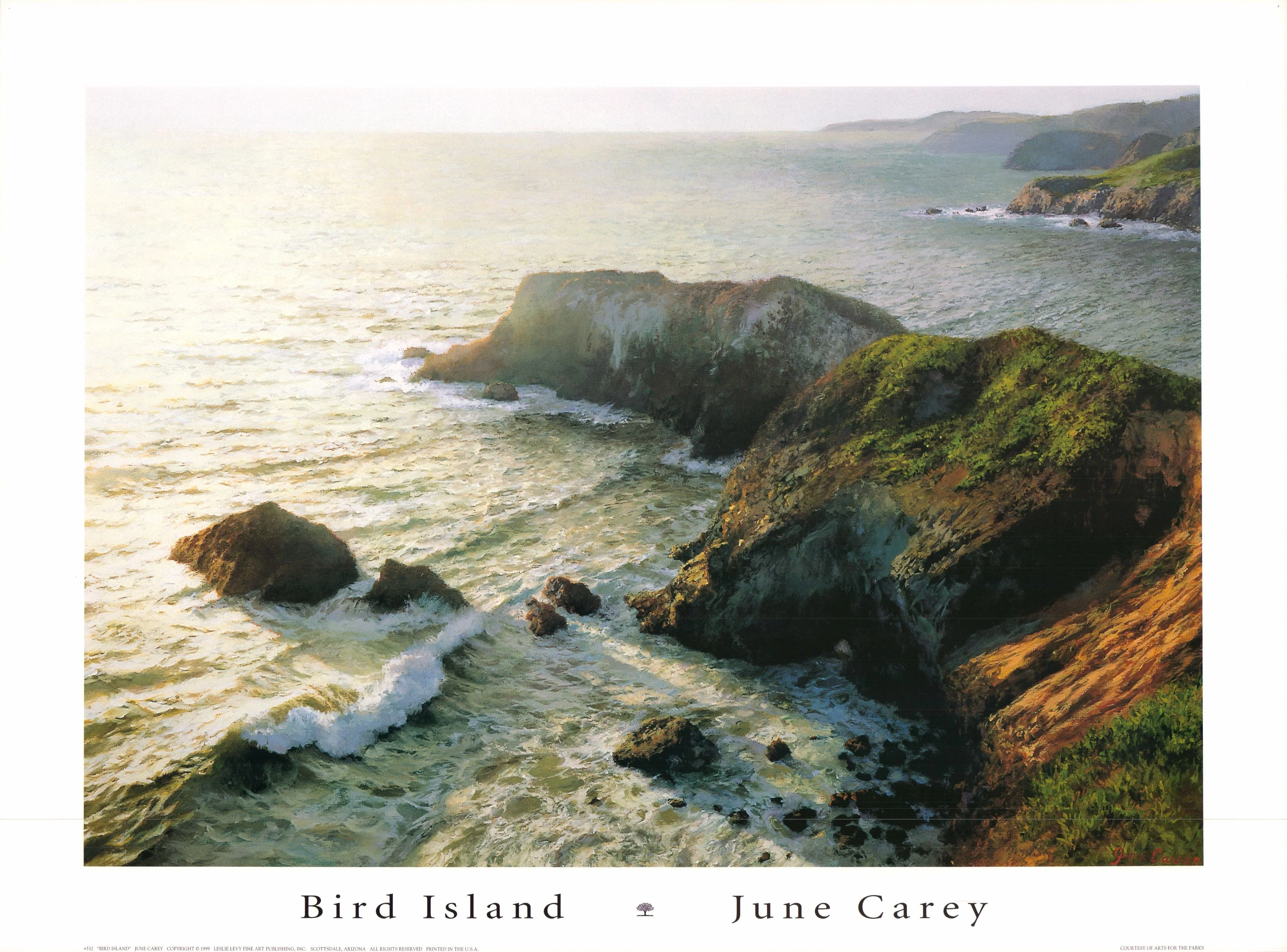 Bird Island, 1999 by June Carey - 22 X 30 Inches (Art Print)