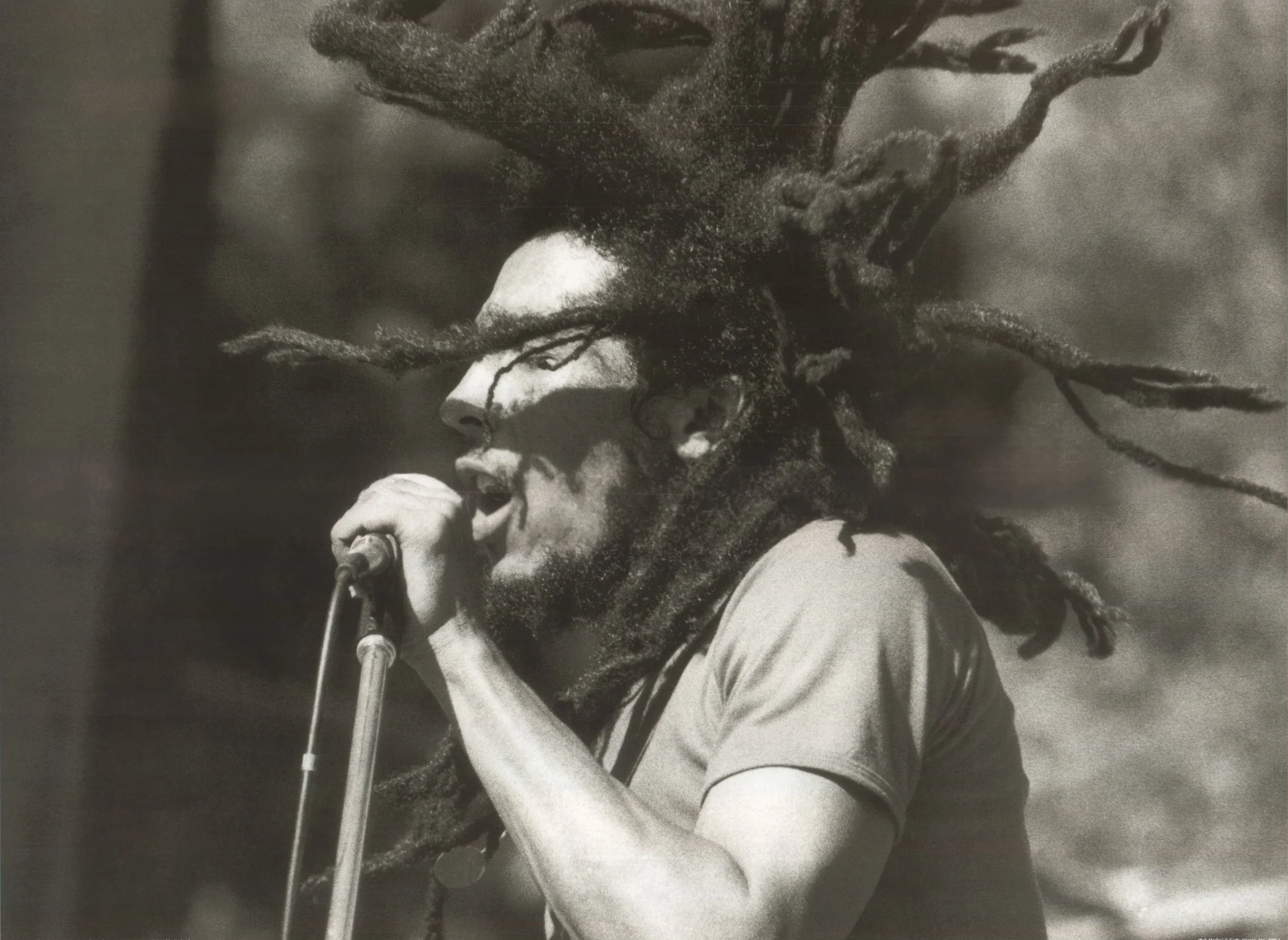 Bob Marley 1980 - 24 X 32 Inches (Art Print)