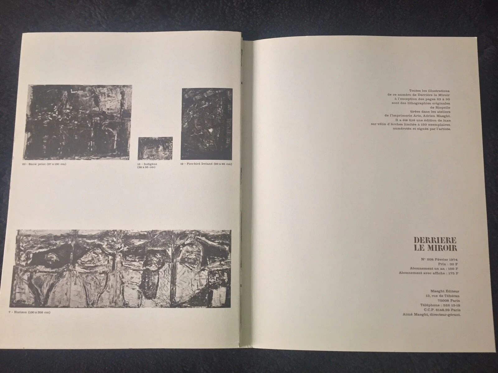 DLM No. 208, February, 1974 Complete Album by Jean-Paul Riopelle - 11 X 15 Inches (12 Lithographs from "Derriere le Miroir" series) - Image 15