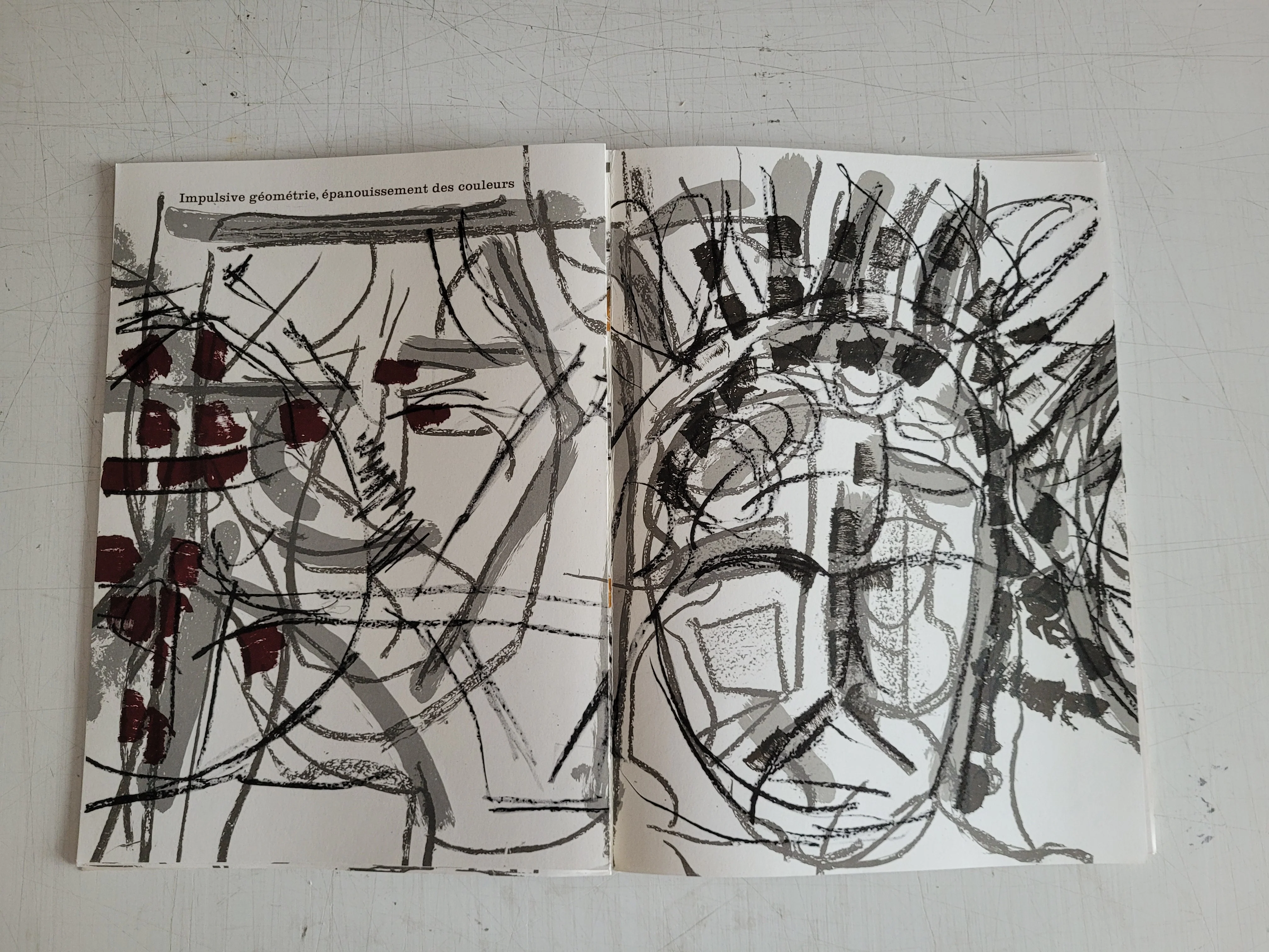 DLM No. 208, February, 1974 Complete Album by Jean-Paul Riopelle - 11 X 15 Inches (12 Lithographs from "Derriere le Miroir" series) - Image 9