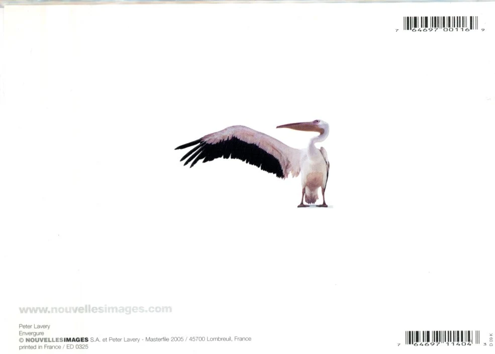 Envergure - Image 2
