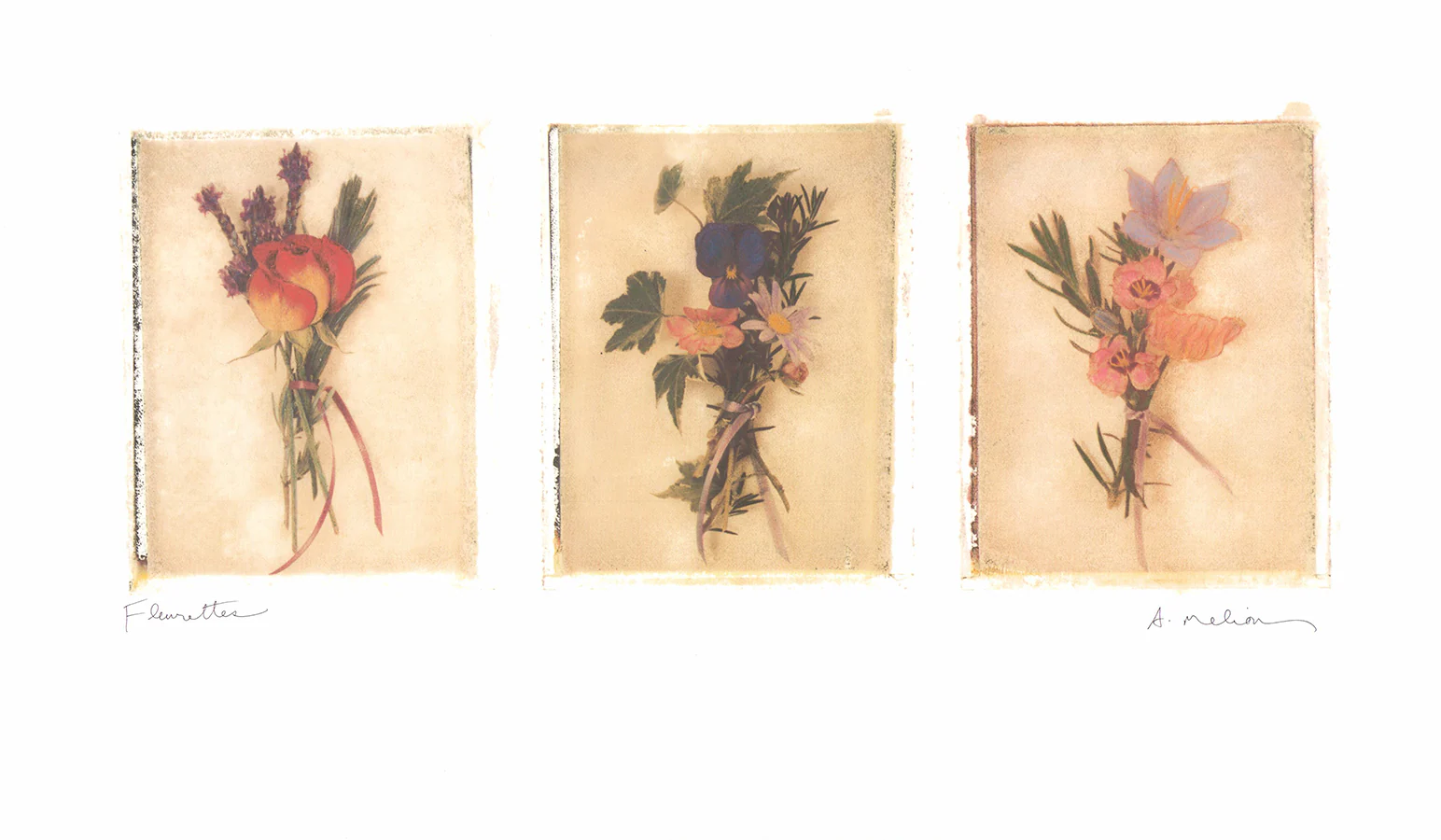 Fleurettes, 1998 by Amy Melious - 13 X 22 Inches (Art Print)
