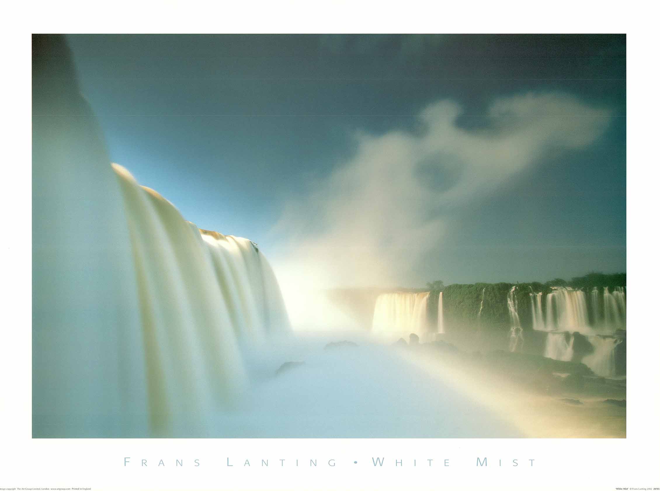 White Mint by Frans Lanting - 24 X 32 Inches (Art Print)