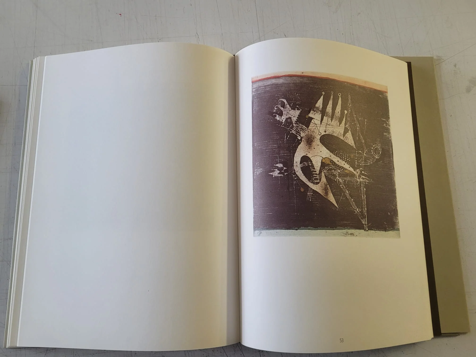 Friedlaender Etchings Eaux-Fortes Radierungen (Vintage Hardcover Book 1972) - Image 12
