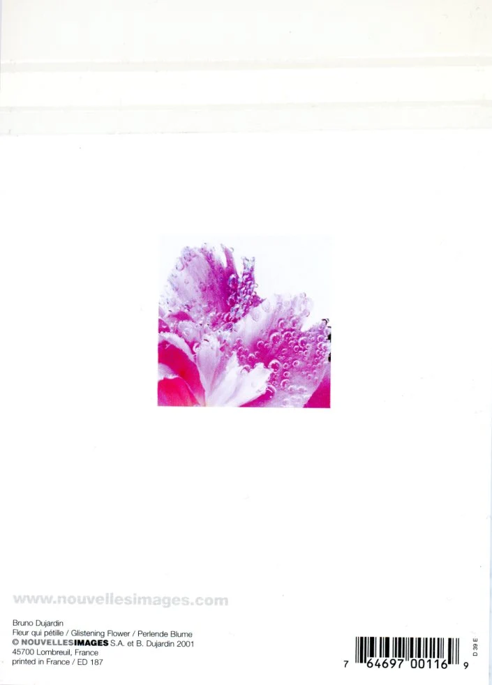 Glistening Flower by Bruno Dujardin - 5 X 7 Inches (Greeting Card) - Image 2