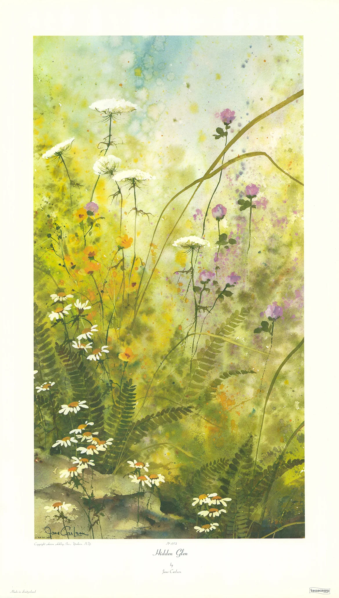 Hidden Glen by Jane Carlson - 17 X 29 Inches (Art Print)