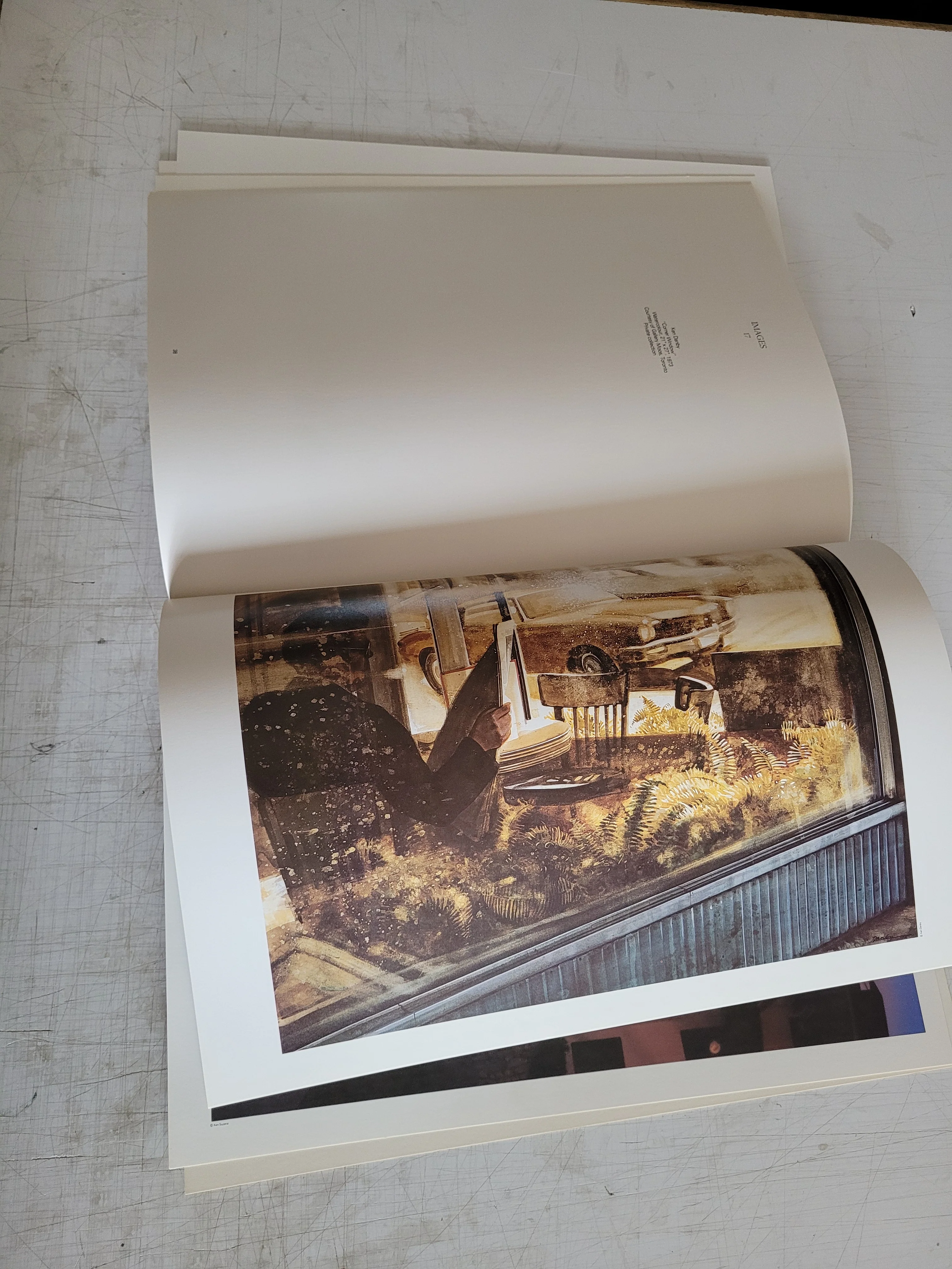 Images: Contemporary Canadian Realism Selected by Marci and Louise Lipman - Image 7