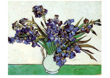 Irises, 1890 by Vincent Van Gogh - 5 X 7 Inches (Note Card)
