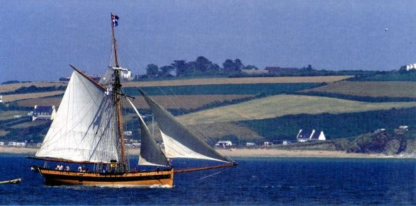 Le Renard en Baie de Douarnenez by Christian Février - 4 X 8 Inches (Greeting Card)