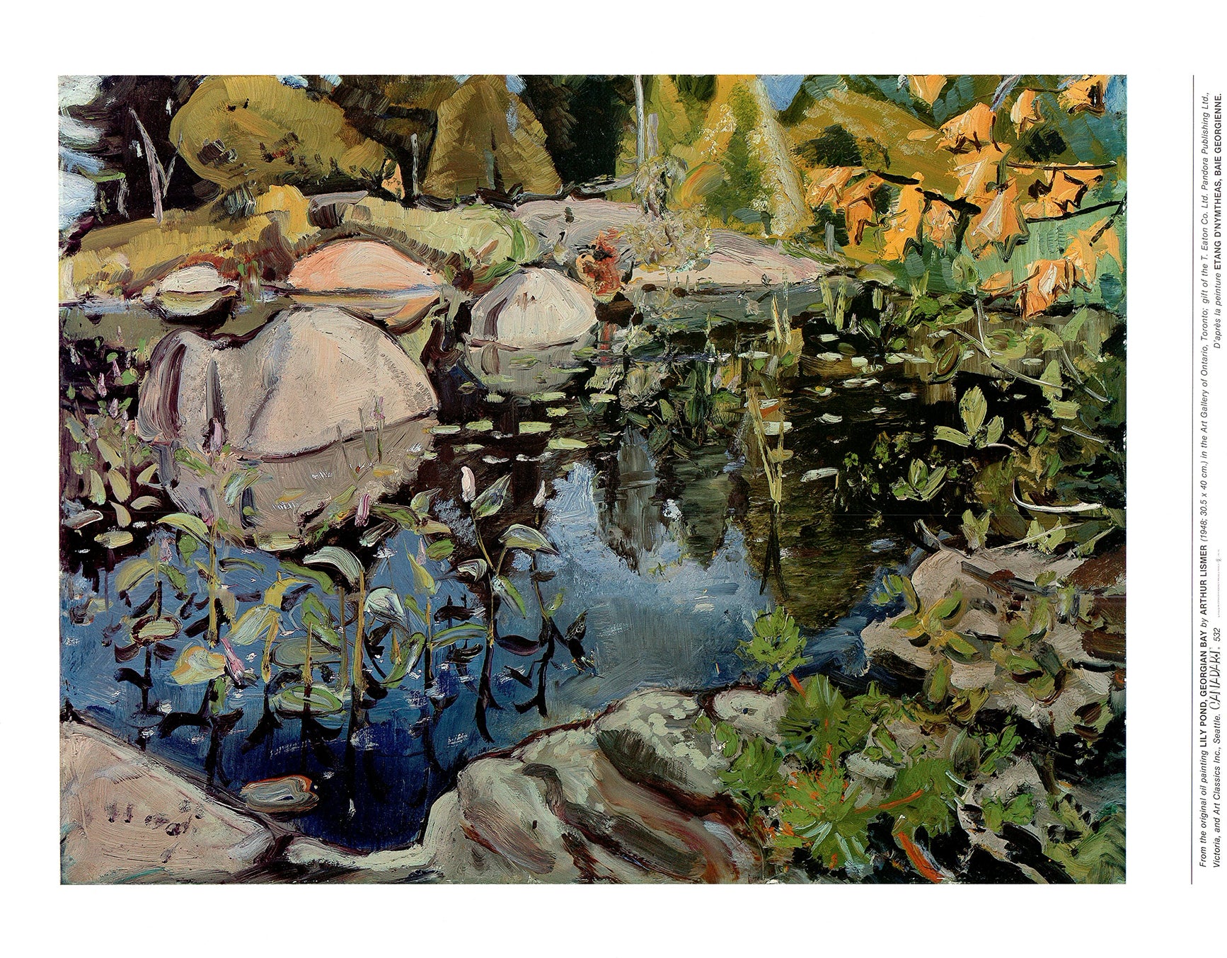 Lily Pond, Georgian Bay, 1948 Bay by Arthur Lismer - 19 X 24 Inches (Art Print)