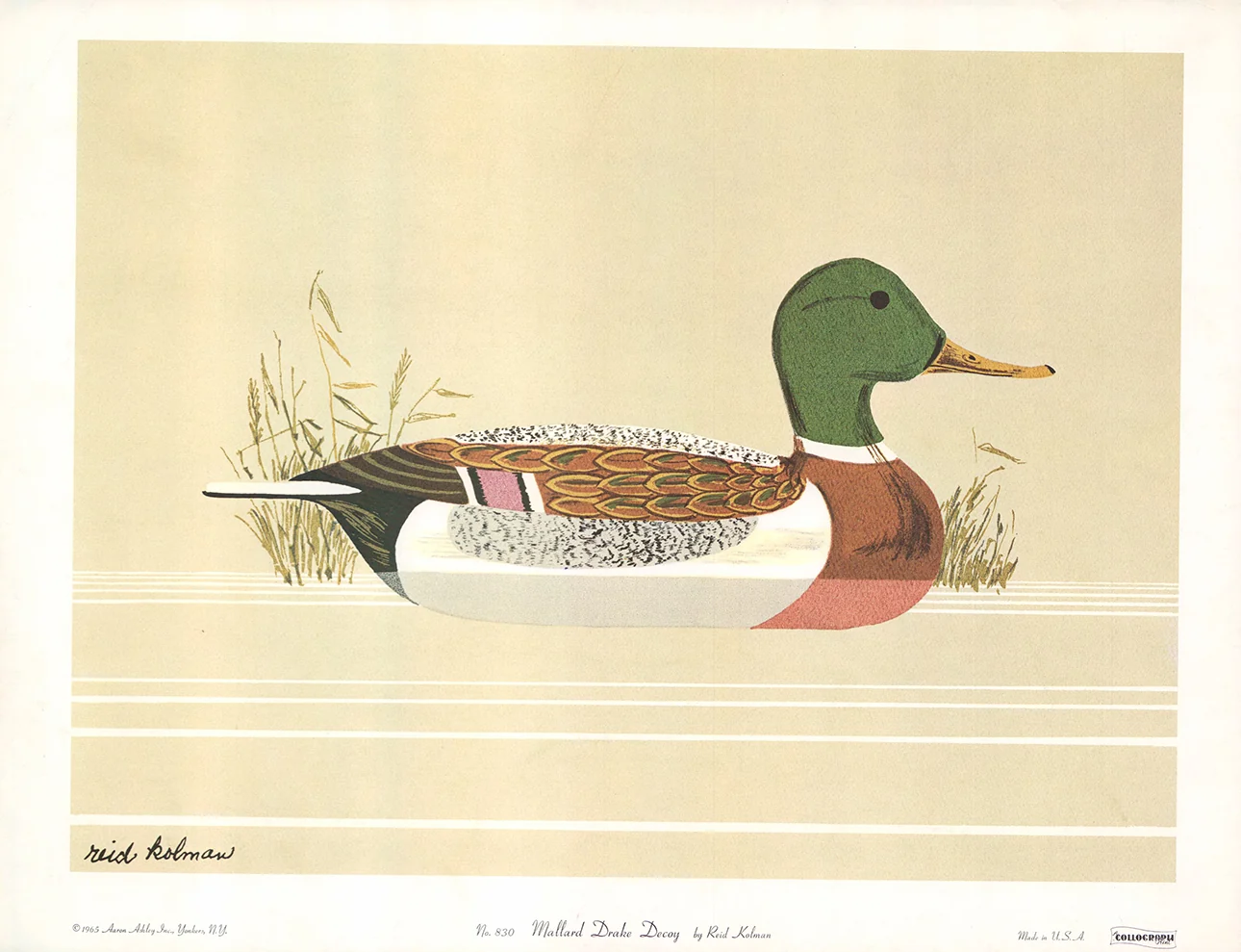 Mallard Drake Decoy by Reid Kolman - 14 X 18 Inches (Art Print)