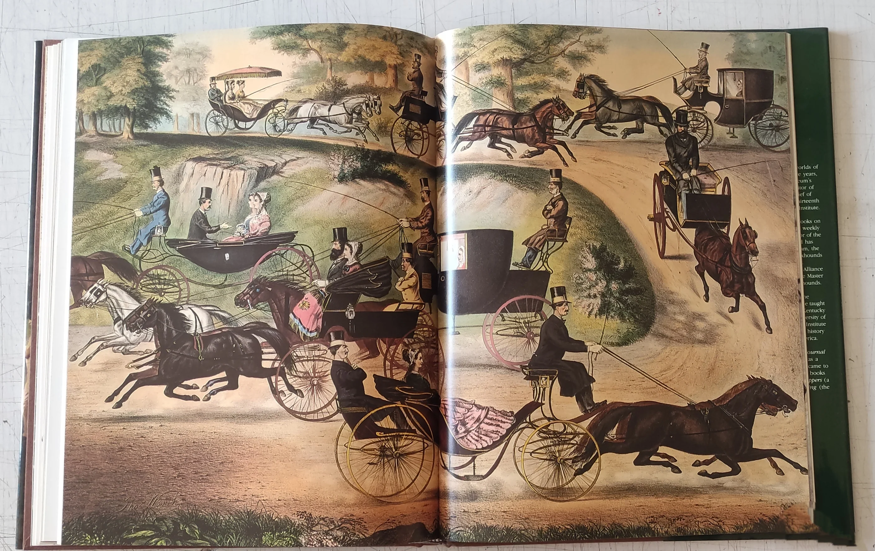 Man and the Horse: An Illustrated History of Equestrian Apparel by Alexander Mackay-Smith (Vintage Hardcover Book 1984) - Image 8