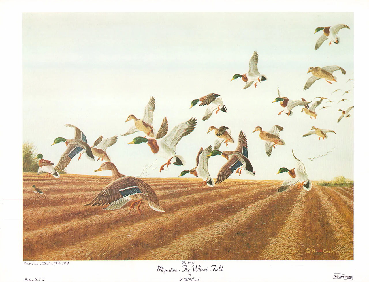 Migration - The Wheat Field by R. W. Couch - 14 X 19 Inches (Art Print)