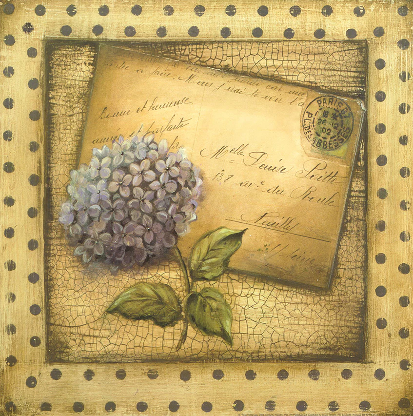 Paris Hydrangea, 2002 by Kimberly Poloson - 12 X 12 Inches (Art Print)