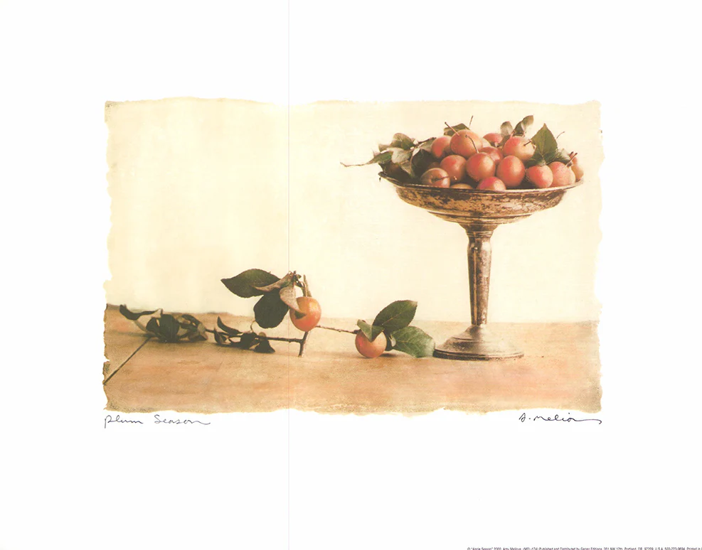 Plum Season, 2000 by Amy Melious - 11 X 14 Inches (Art Print)