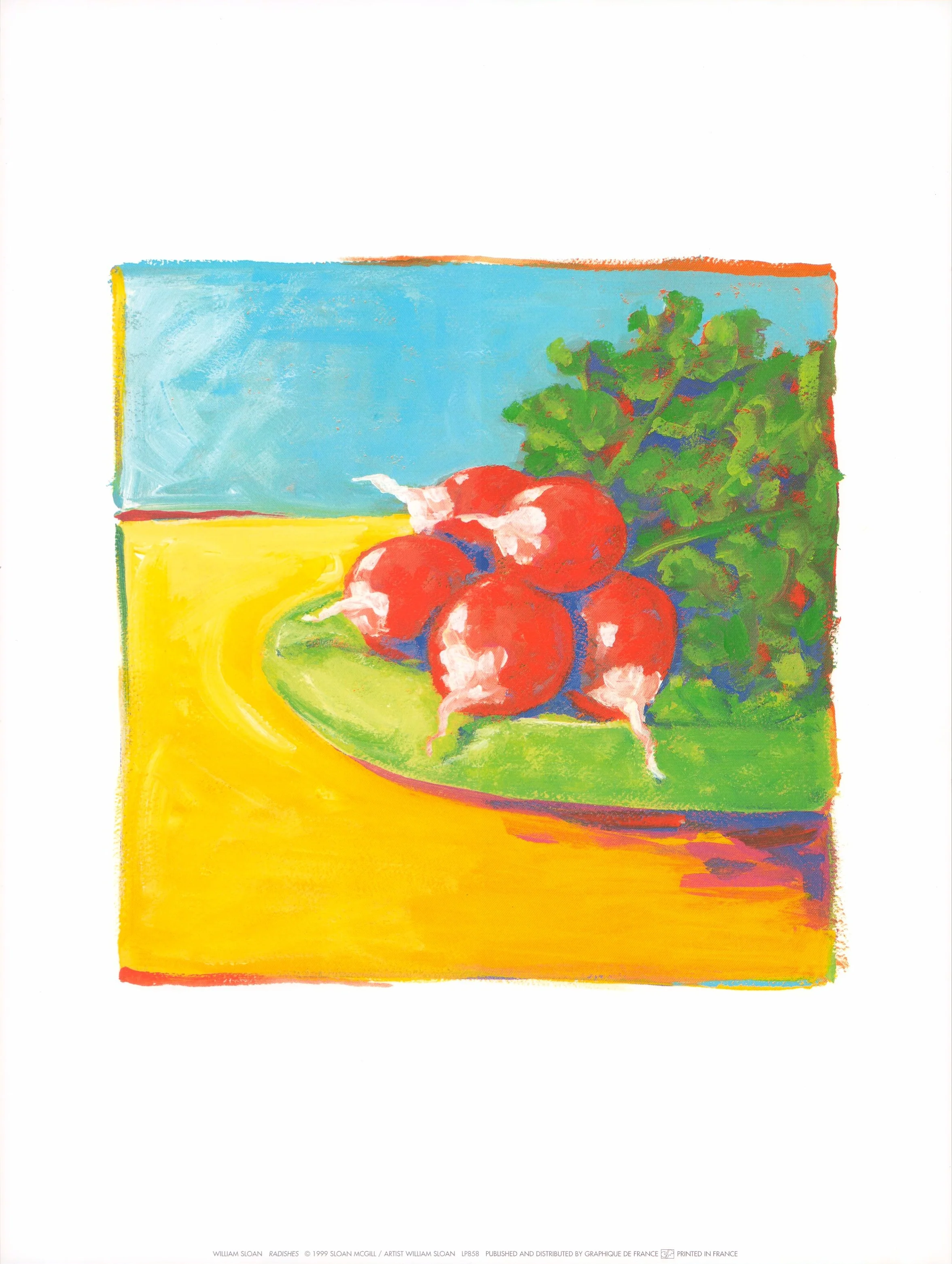 Radishes, 1999 by William Sloan - 12 X 16 Inches (Art Print)