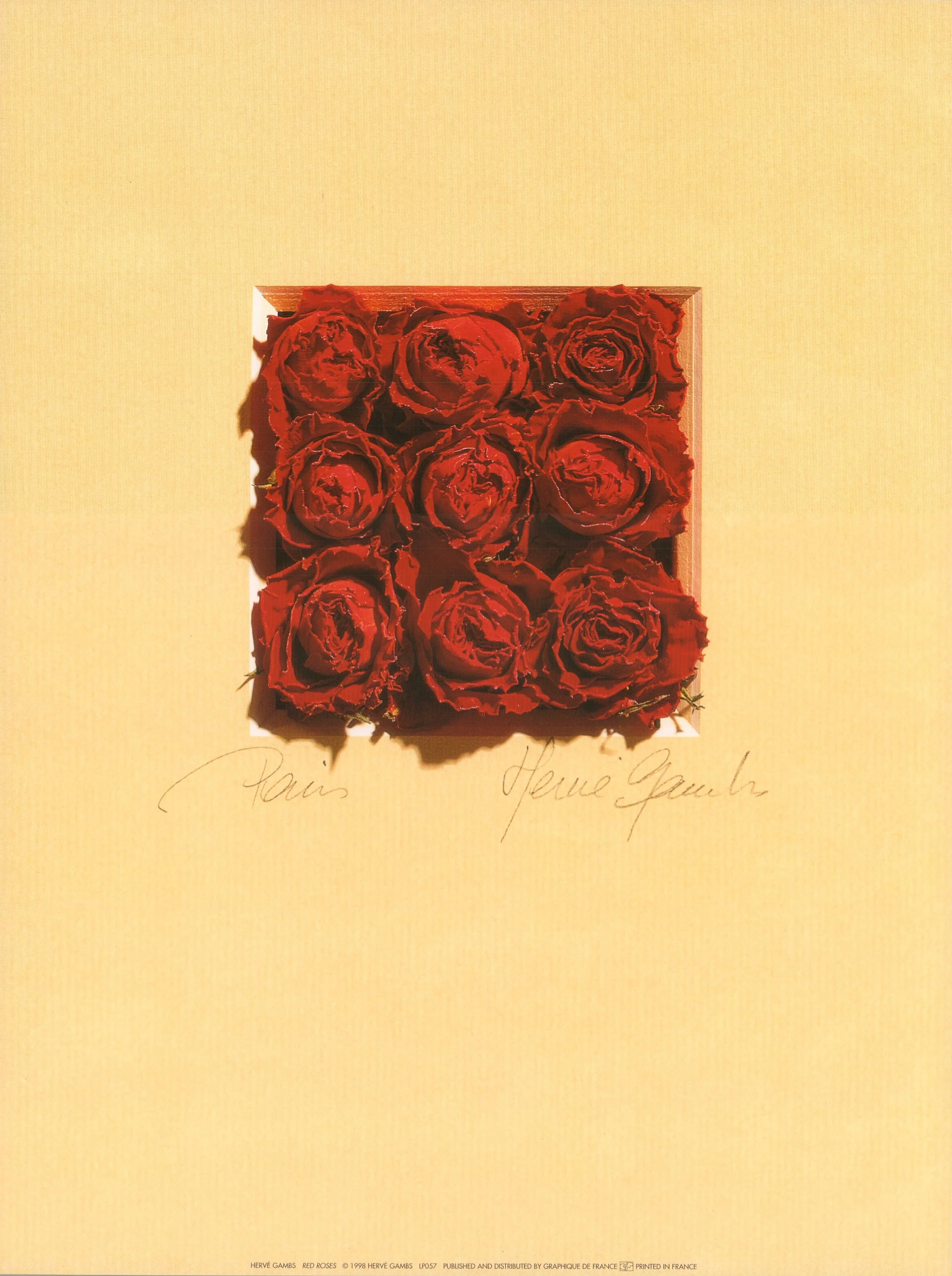 Red Roses by Hervé Gambs - 12 X 16 Inches (Art Print)