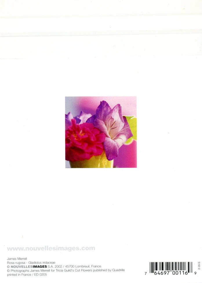 Rosa Rugosa by James Merrell (Greeting Cards) - Image 2
