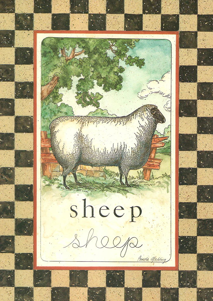 Sheep 1999 by Pamela Gladding - 10 X 14 Inches (Art Print)
