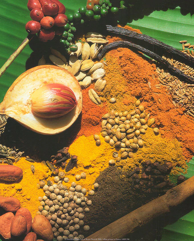 Spices by Bruno Morandi - 10 X 12 Inches (Art Print)