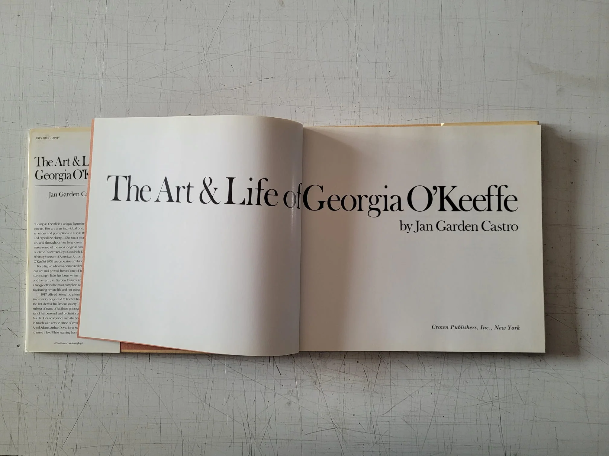 The Art & Life of Georgia O’Keeffe by Jan Garden Castro (Vintage Hardcover Book 1985) - Image 3