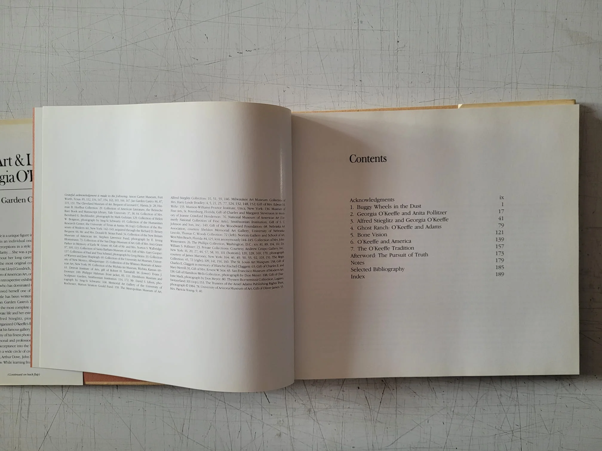 The Art & Life of Georgia O’Keeffe by Jan Garden Castro (Vintage Hardcover Book 1985) - Image 4
