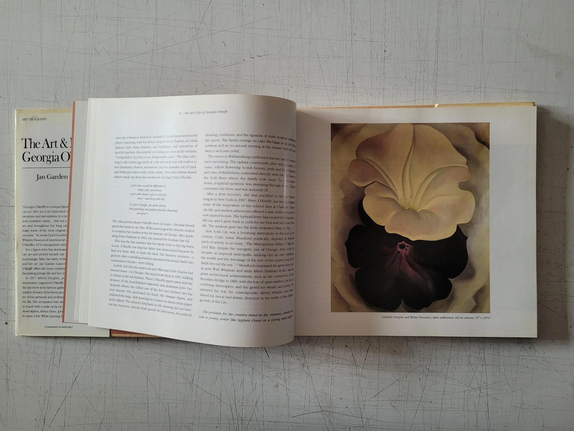 The Art & Life of Georgia O’Keeffe by Jan Garden Castro (Vintage Hardcover Book 1985) - Image 7