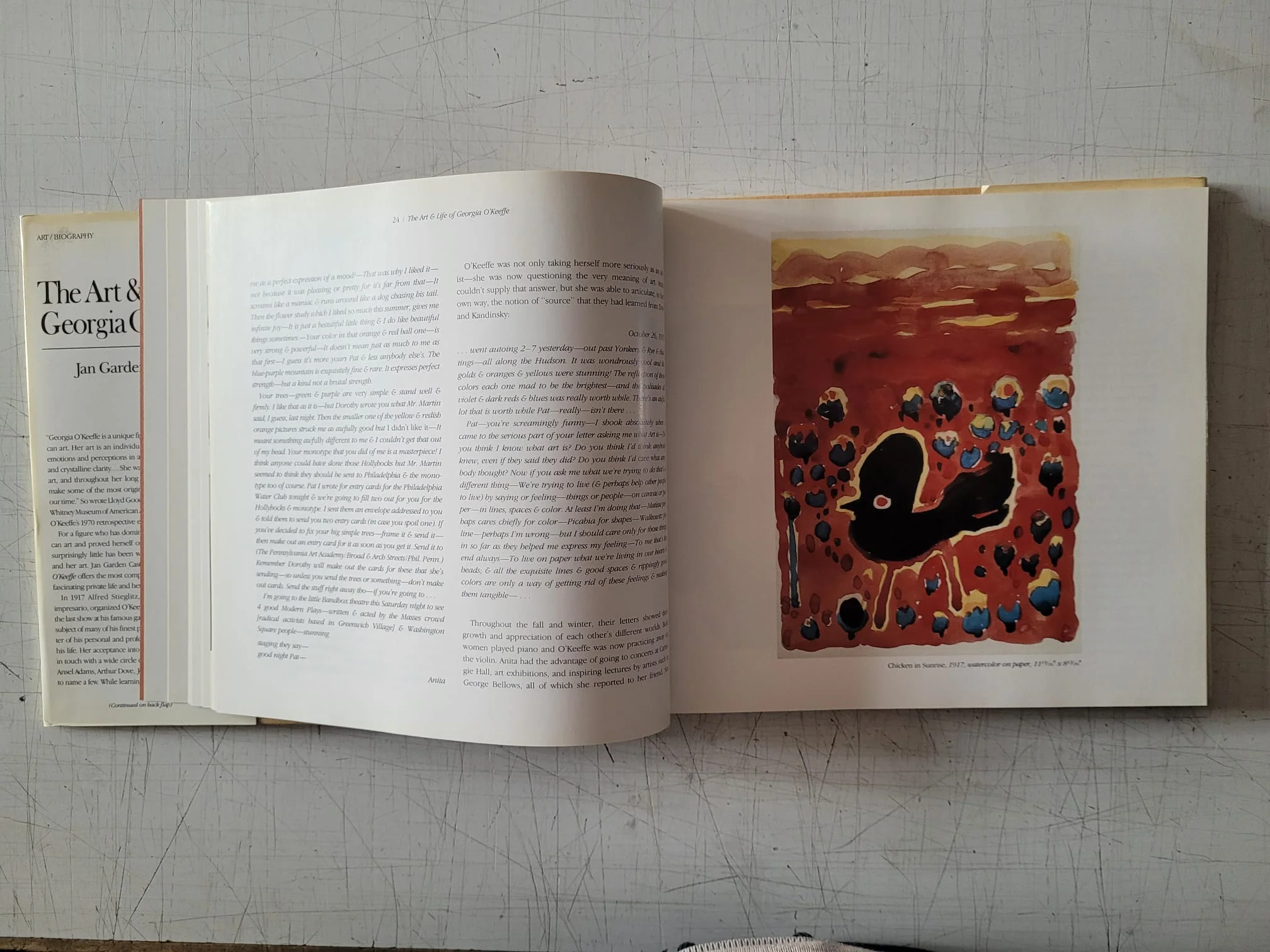 The Art & Life of Georgia O’Keeffe by Jan Garden Castro (Vintage Hardcover Book 1985) - Image 9
