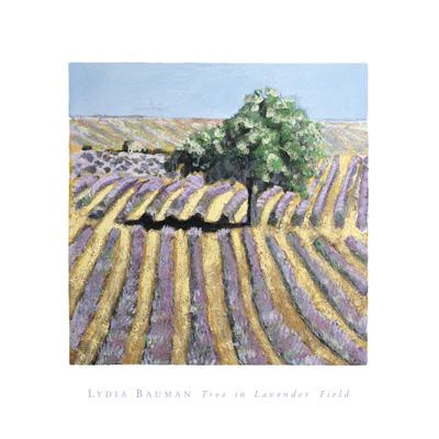 Tree in Lavender Field by Lydia Bauman - 16 X 16 Inches (Offset Lithograph)
