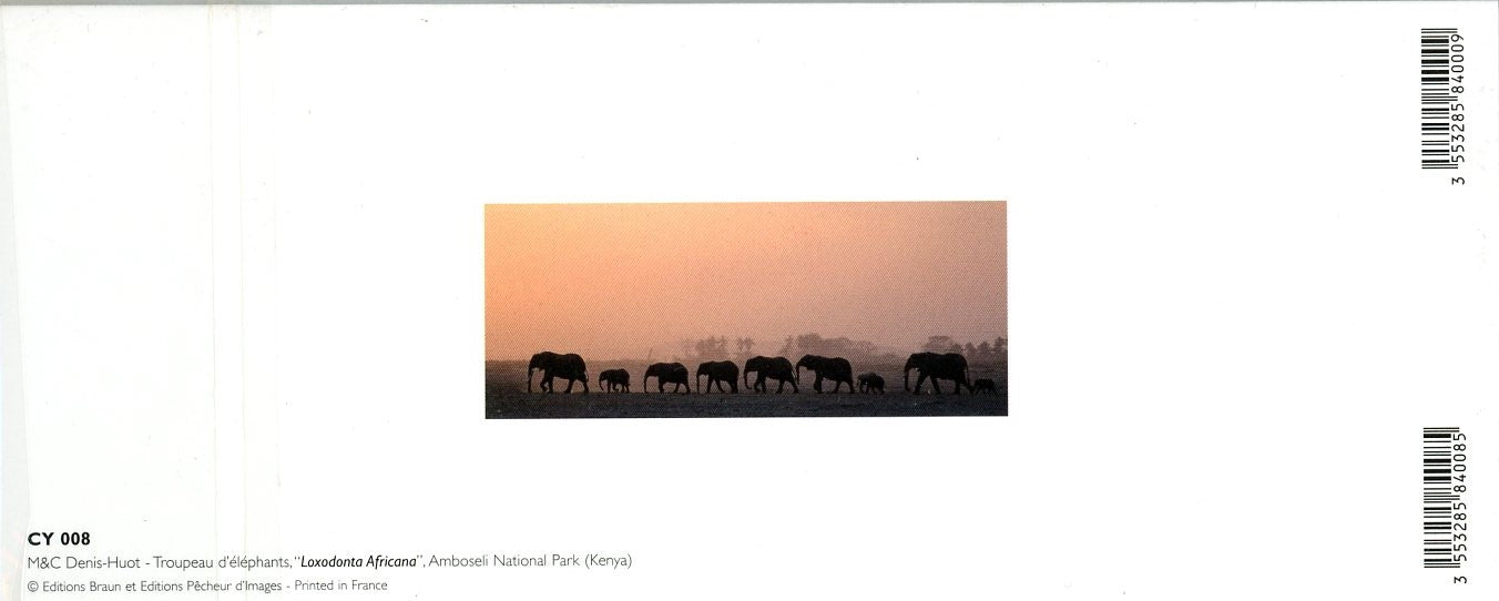 Troupeau d'éléphants, "Loxodonta Africana" (Kenya) by Denis Huot - 4 X 9 Inches (Note Card) - Image 2