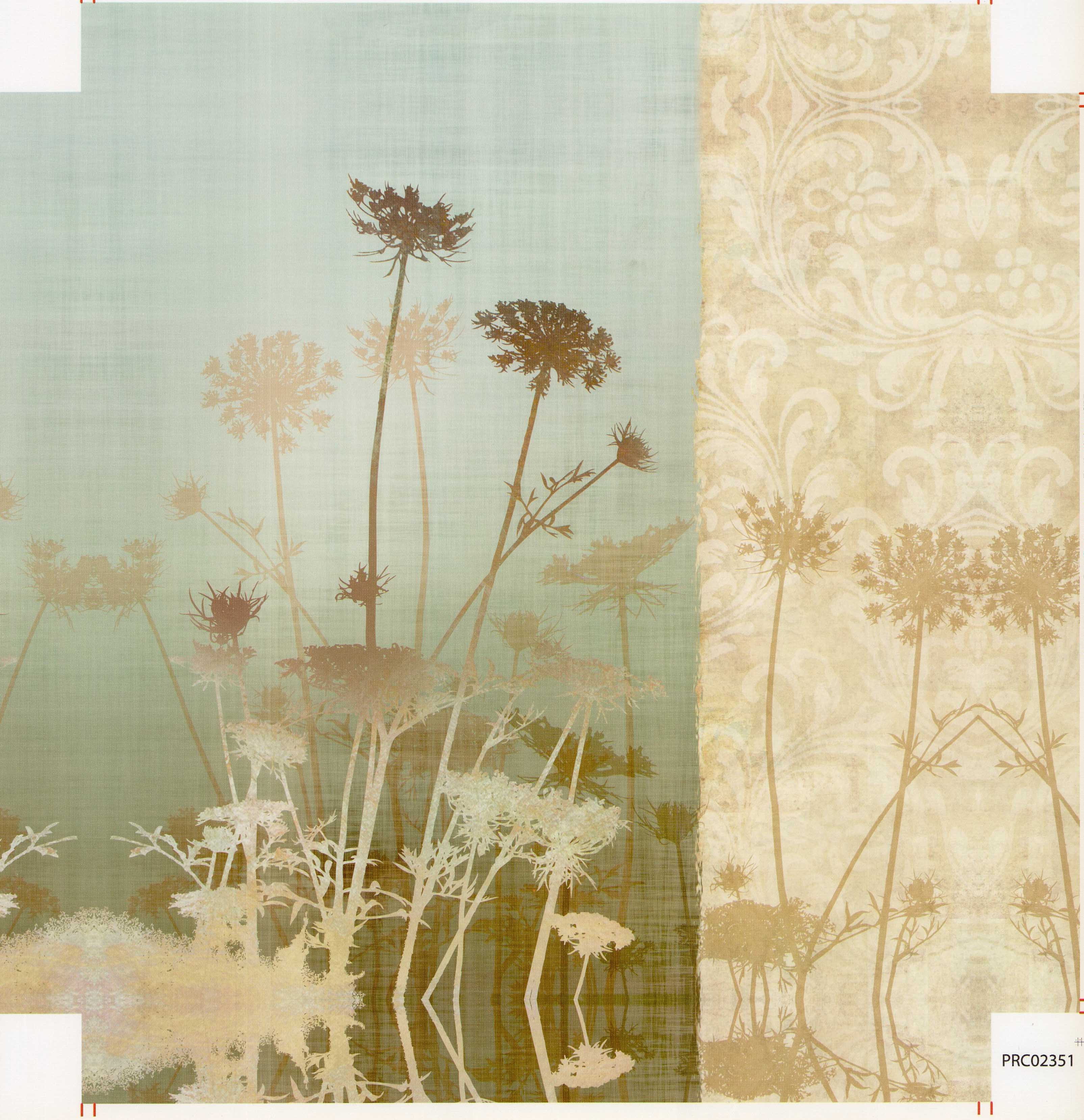 Delicate Fields II by Conrad Knutsen - 18 X 18 Inches (Canvas Roll or Stretched ready to hang)