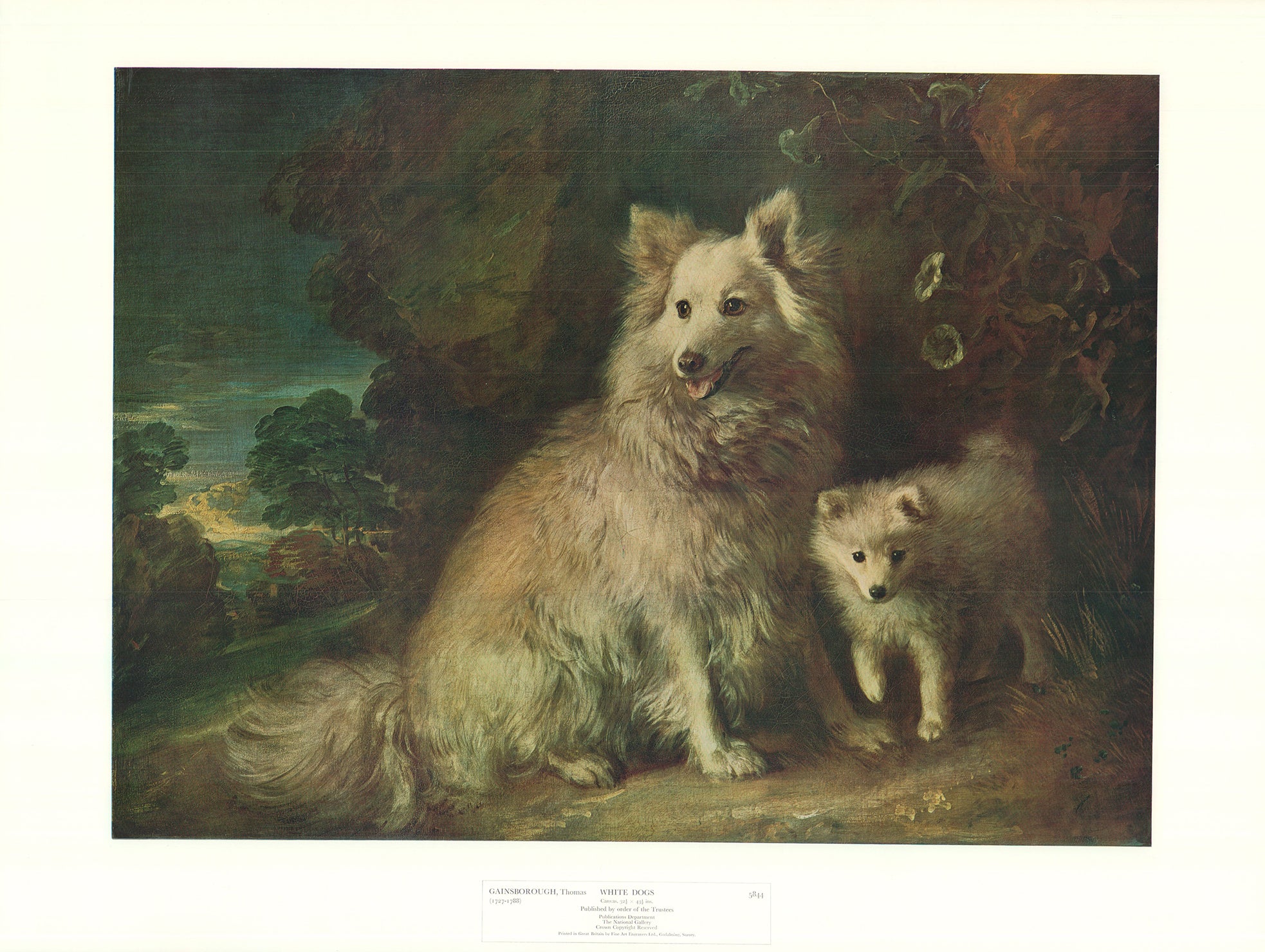 White Dogs By Thomas Gainsborough - 21 X 28 Inches (Offset Lithograph)