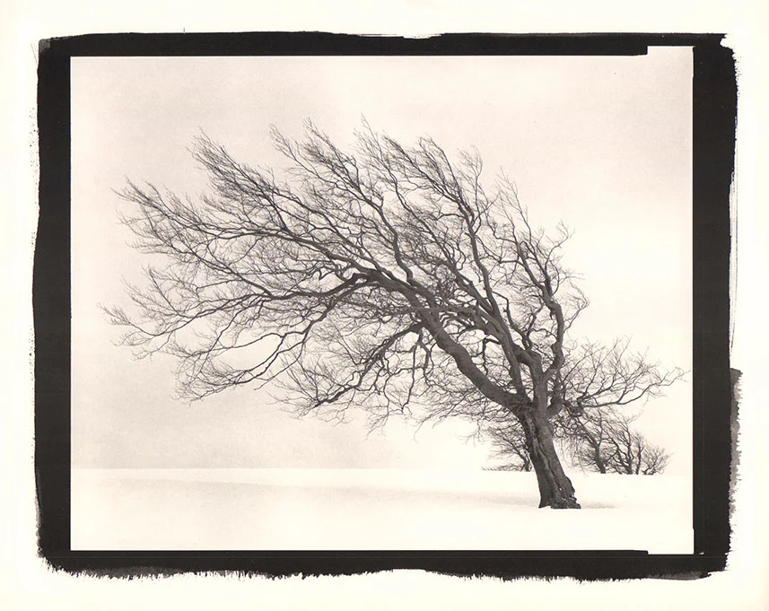Windbuche, Schau ins Land, Marz 1988 by Jean-Paul Rohner - 10 X 12 Inches (Offset Lithograph)
